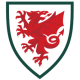 Wales WK 2022 Heren